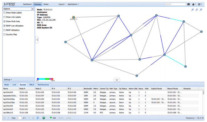 Figure 2. NorthStar live network visualization